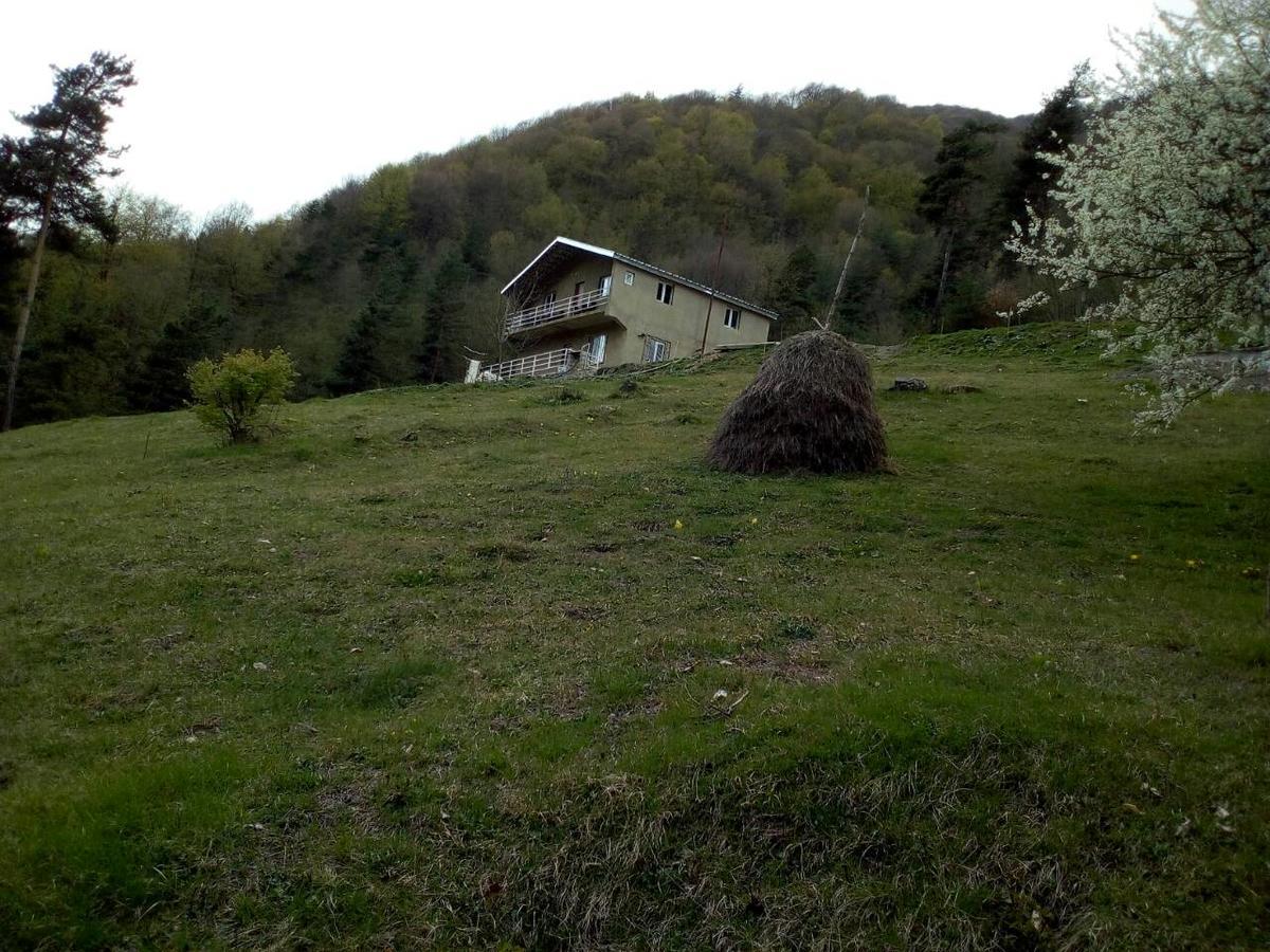 Guesthouse Gama In Khevsureti Roshka Exterior photo